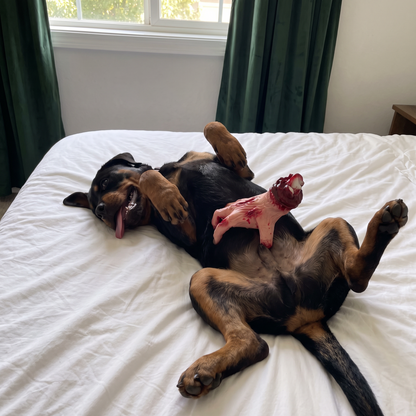 HorrorHand™ - Dog Massager